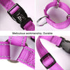Reflective Dog Harness, Purple, Medium - Glow Castle