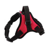K9 Adjustable Dog Harness, Rose Red, Medium