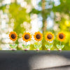 5pcs /Set Cute Sunflower Car Ornament Car Center Console Shaking Flowers Decoration, Style: A Model Transparent Leaves