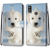 For Alcatel 1L (2021) Coloured Drawing Cross Texture Horizontal Flip PU Leather Case with Holder & Card Slots & Wallet & Lanyard(Snow Puppy)