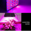45W 144LEDs Full Spectrum Plant Lighting Fitolampy For Plants Flowers Seedling Cultivation Growing Lamps LED Grow Light AC85-265V US