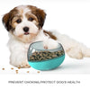 Slow Feeder Dog Bowl, Tumbler Toy, Anti-Choking, Emerald Green