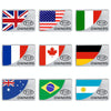 Universal Car Argentina Flag Rectangle Shape VIP Metal Decorative Sticker (Silver)