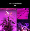 45W 144LEDs Full Spectrum Plant Lighting Fitolampy For Plants Flowers Seedling Cultivation Growing Lamps LED Grow Light AC85-265V AU