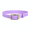 Waterproof PVC Dog Collar, Medium, Purple