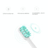 3 PCS Original Xiaomi Mijia Regular Replacement Brush Heads for Xiaomi Ultrasonic Electric Toothbrush (HC6109)