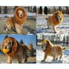 Large Dog Lion Mane Wig Costume, White, Fits Neck Up to 70cm