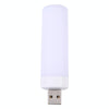 USB LED Flame Lamp Flameless Candles Night Light