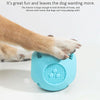 Bite-Resistant Dog Toy, Treat Ball, Puzzle, Teething, Sky Blue