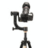 QingZhuangShiDai Q35 SLR Camera Telephoto Lens Bird Watching Tripod Head(Gold)