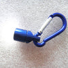 LED Pet Safety Light - Flashing Pendant for Dogs & Cats (Random Colour)