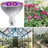 LED Plant Growth Lamp Full-Spectral E27 Plant Fill Light, Power: 80W 120 Lamp Beads