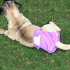 Dog Nappies, Washable & Waterproof, Female, Purple, L (48-65cm Waist)