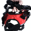 Dog Backpack Harness with Lead, Red, Small