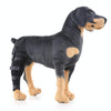 HJ19 Pet Surgery Rehabilitation Back Leg Protector Walking Aids, Size: L(Black Right Back Leg)