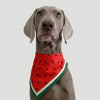 Watermelon Dog Scarf - Waterproof & Absorbent (Size M)