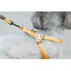 Orange Dog Collar, Harness & Leash Set - Small (Up to 8kg)