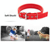 Red Padded Dog Collar, Medium/Large, Adjustable (46-55cm)