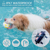 Dog Training Collar, 2 Dogs, 800m Remote, IPX7 Waterproof (Orange)