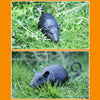 Tricky Funny Toy Infrared Remote Control Scary Creepy Mouse, Size: 21*7cm