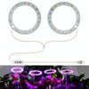 LED Plant Growth Lamp Full Spectroscopy Intelligent Timing Indoor Fill Light Ring Plant Lamp, Power: Two Head(Red Blue Light)