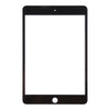 iPad Mini 5 Black Front Glass Lens with OCA Adhesive