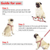 Reflective Dog Lead & Leash Set, Red, Small (S) - Nylon