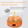 6-Egg Mini Incubator Automatic Digital LED Display US Plug