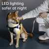 Retractable Dog Lead 3m with LED Light | Small/Medium Dogs (Black)