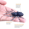 HENGJIA 8cm 7g Lua Spider Soft Bait Bionic Mimic Bait, Color: 5 Colors