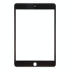 iPad Mini 4 Black Front Glass Lens with OCA Adhesive