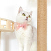 Adjustable Cat & Small Dog Bow Tie Collar, Organza, S (17-32cm)