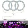 LED Plant Growth Lamp Full Spectroscopy Intelligent Timing Indoor Fill Light Ring Plant Lamp, Power: Three Head(Red Blue Light)