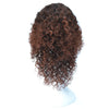T191006 European and American Wig Headgear with Short and Small Curly Hair for Women (Black Brown)