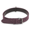 JINMAOHOU Purple Leather Dog Collar, Medium (49x2.7cm)
