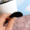 5 PCS Horticultural Plant Brushes Debris Brush Dust Brush