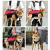 Dog Carrier Backpack, L (Black/Yellow) - Support & Comfort