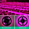 3m Non-waterproof Plant Light Strip LED Planting Filling Light USB Indoor 2835SMD Plant Growth Lamp