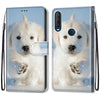 For Alcatel 1SE 2020 Coloured Drawing Cross Texture Horizontal Flip PU Leather Case with Holder & Card Slots & Wallet & Lanyard(Snow Puppy)