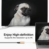 USB-C / Type-C 3.1 Male to Mini DP Female HD Converter, Length: 12cm(Gold)