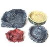 Reptile Resin Food & Water Bowl | Lizard, Snake & Spider Dish
