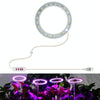 LED Plant Growth Lamp Full Spectroscopy Intelligent Timing Indoor Fill Light Ring Plant Lamp, Power: One Head(Red Blue Light)