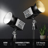 PULUZ 60W Studio Video Light 2500K-6500K Dual Color Temperature Professional Photography Fill Light (Black)