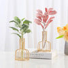 Wrought Iron Hydroponic Green Dried Flower Glass Flower Insert Decoration Without  Fake Flowers(Gold)