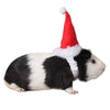 Christmas Pet Hat, Flannel, Red & White, Small Animals