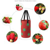 Multi-Mouth Hanging Strawberry Plant Bag With 13 Holes, Size: 20x35cm(Red)