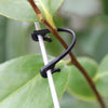 100 PCS / 2 Packs Gardening Vine Grape Tied Tie Strap
