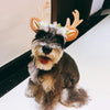 Christmas Antler Headband for Dogs & Cats - Large