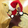 Christmas Lizard Outfit with Lead - Red Hat & Scarf
