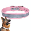 Reflective Pink XS Pet Collar - Soft PU Leather, Adjustable